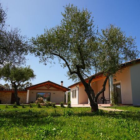 Agriturismo Casale Degli Ulivi Alghero Santa Maria la Palma Dış mekan fotoğraf